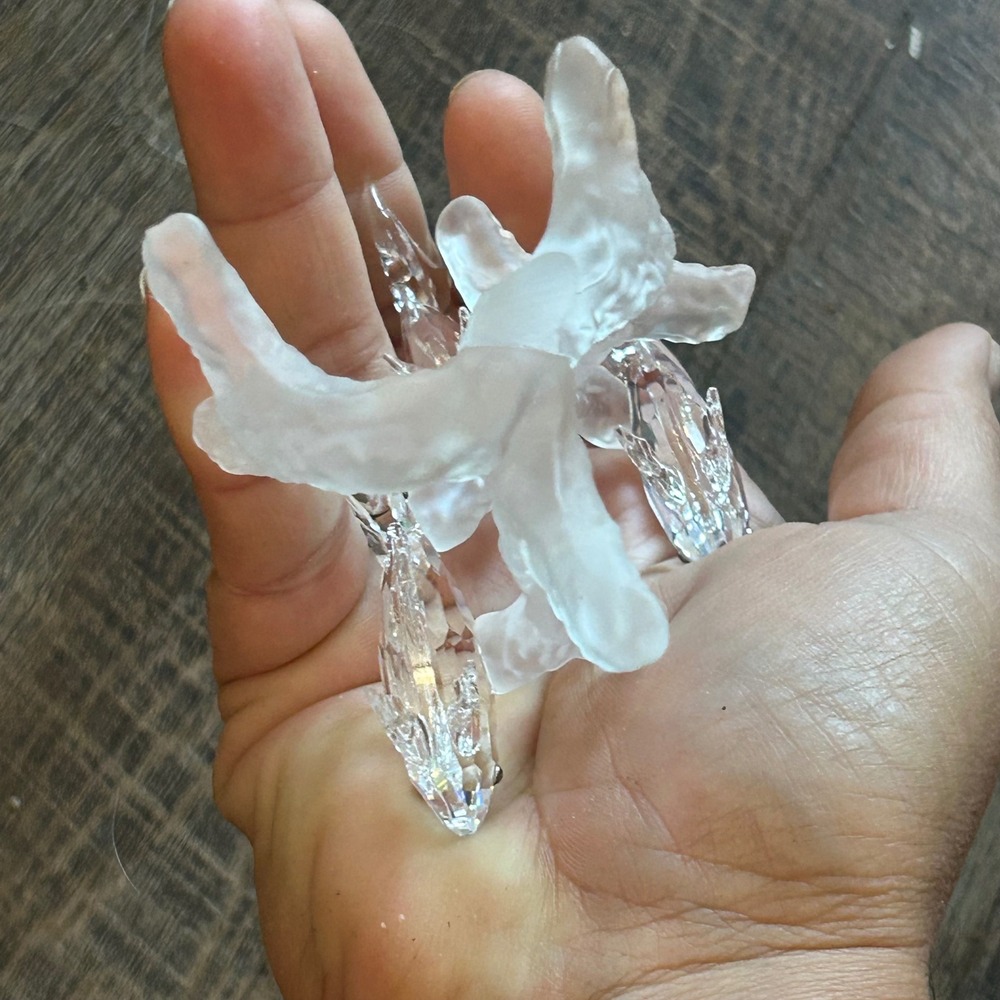 Swarovski School of Fish Crystal Figurine South Sea Frosted Coral Base 3 fish - Picture 6 of 9